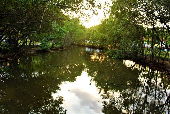Espiritu Del Manglar Park